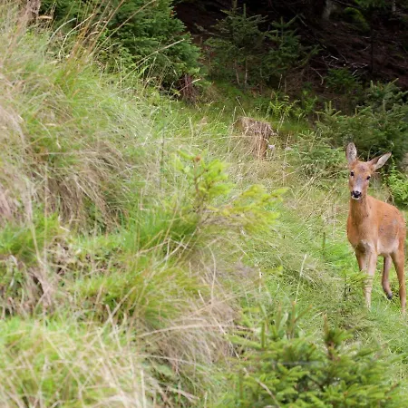 With Balcony In Brixen In Thale Tyrol Lägenhet